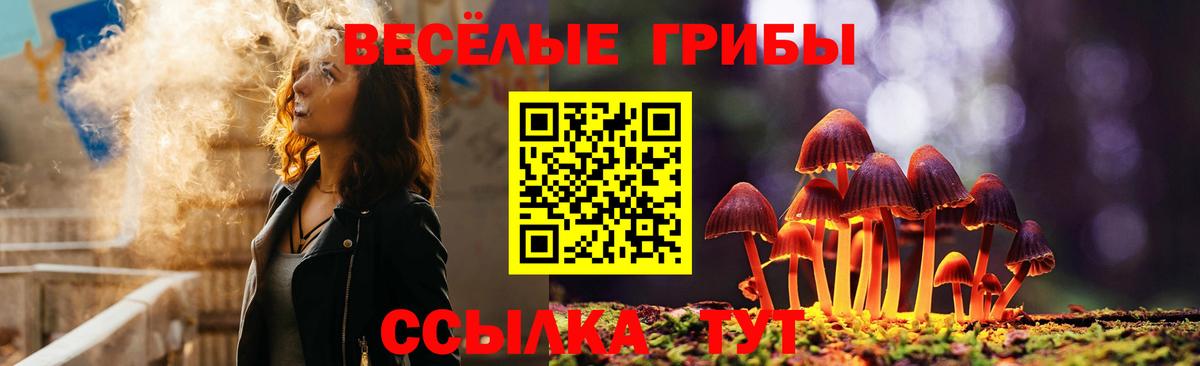 Галлюциногенные грибы Psilocybe Мелеуз