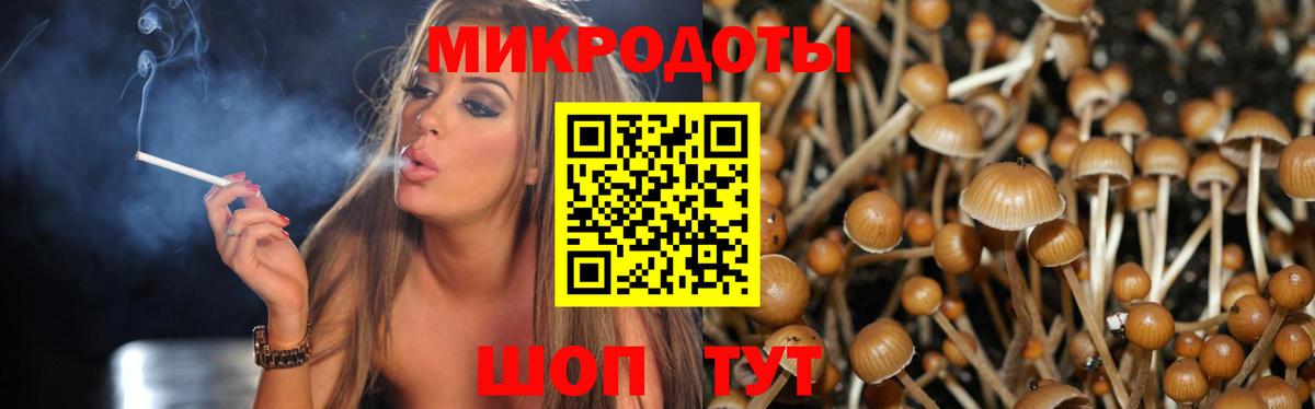 Мелеуз  Галлюциногенные грибы MAGIC MUSHROOMS  где можно купить   Псилоцибиновые грибы мухоморы  Вход с VPN 